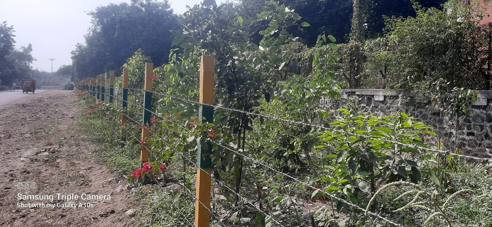 Green Belt Development and maintenance activity